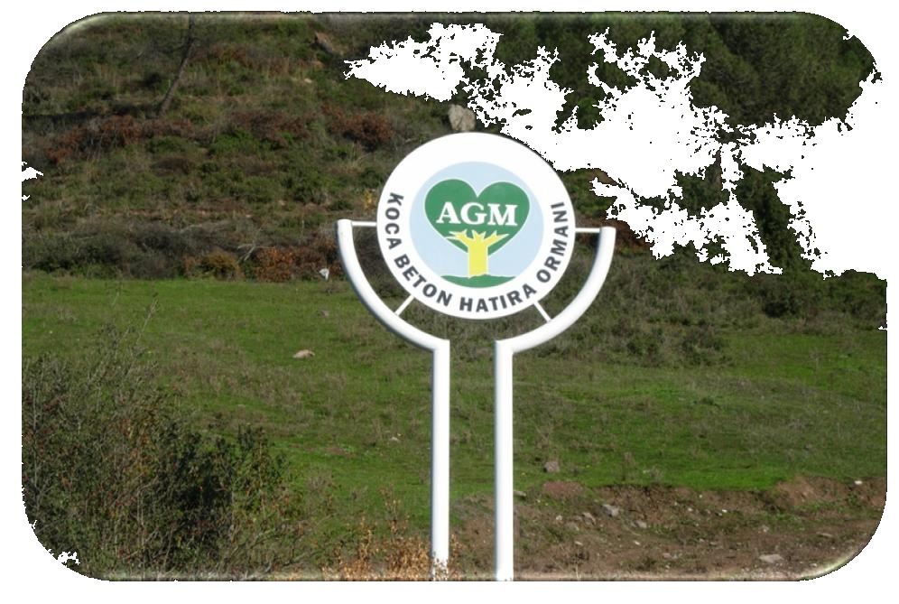 Koca memorial forest